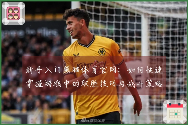 新手入门熊猫体育官网：如何快速掌握游戏中的取胜技巧与战斗策略